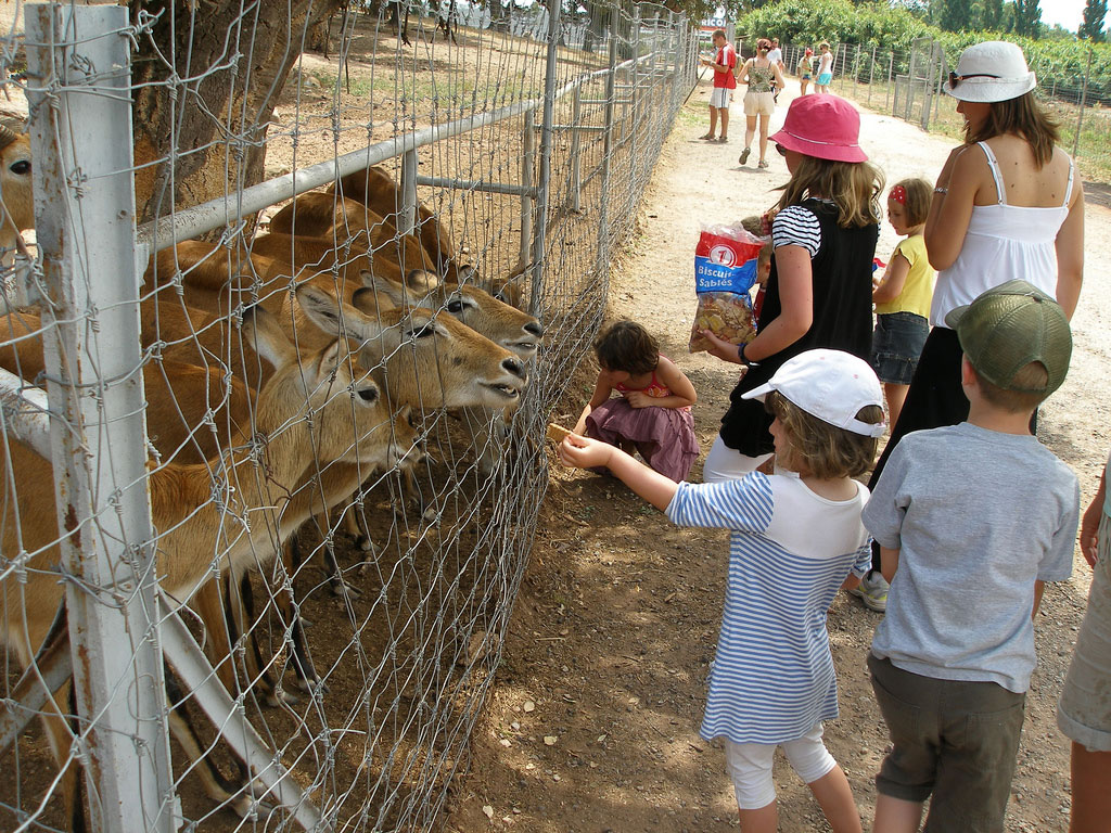 Parc zoologique de frejus
