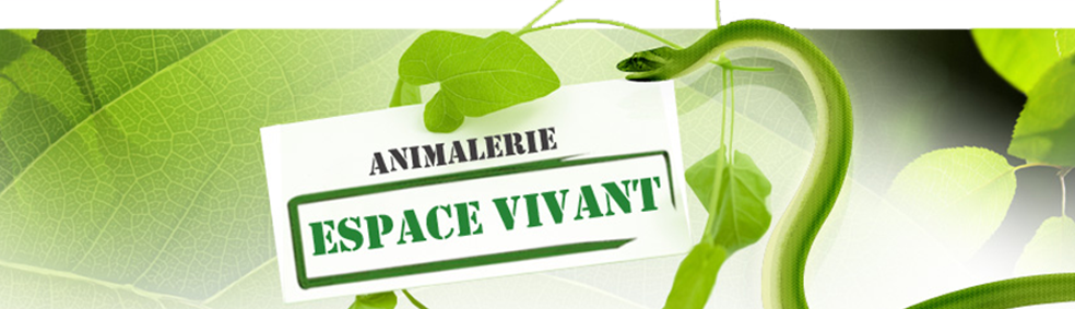 ESPACE VIVANT