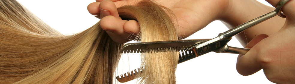 LE SALON DE COIFFURE