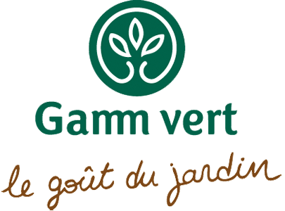 GAMM VERT