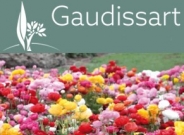 -15% sur les plantes