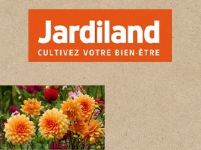 -10€ dès 50€ d'achat