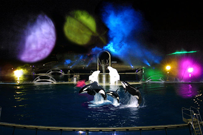 Spectacle nocturne Marineland