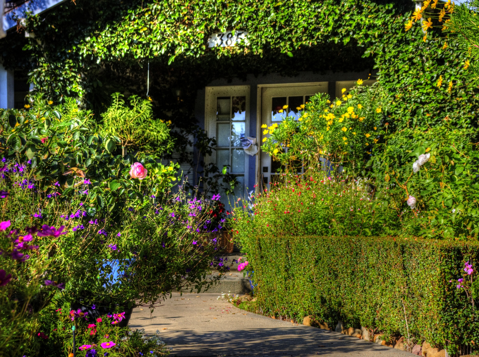 Reduction anti moustique HBM